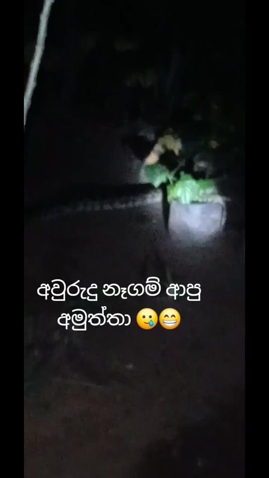TikTok video thumbnail by miheerose