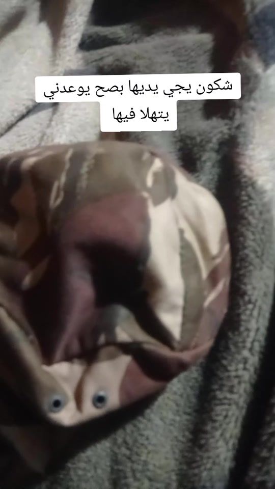 TikTok video thumbnail by wassimmilan8