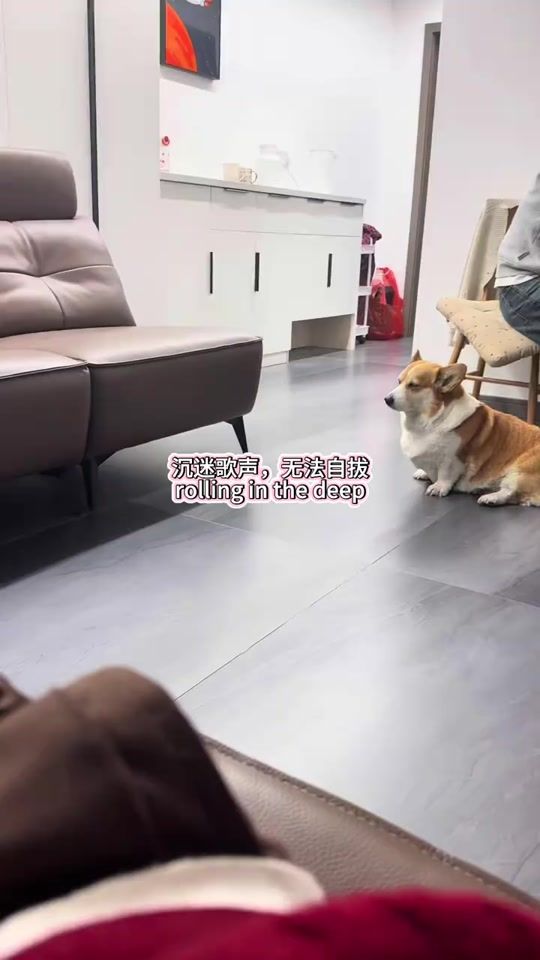 TikTok video thumbnail by pfengdtryvs