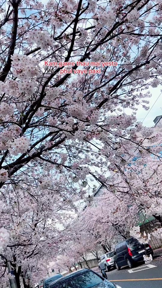 TikTok video thumbnail by praptighising