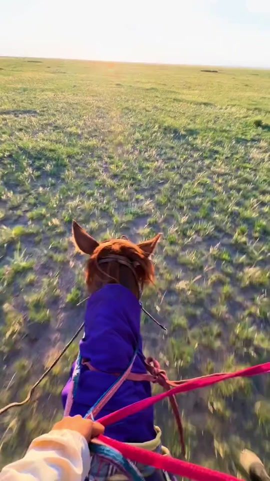 TikTok video thumbnail by mongolia_