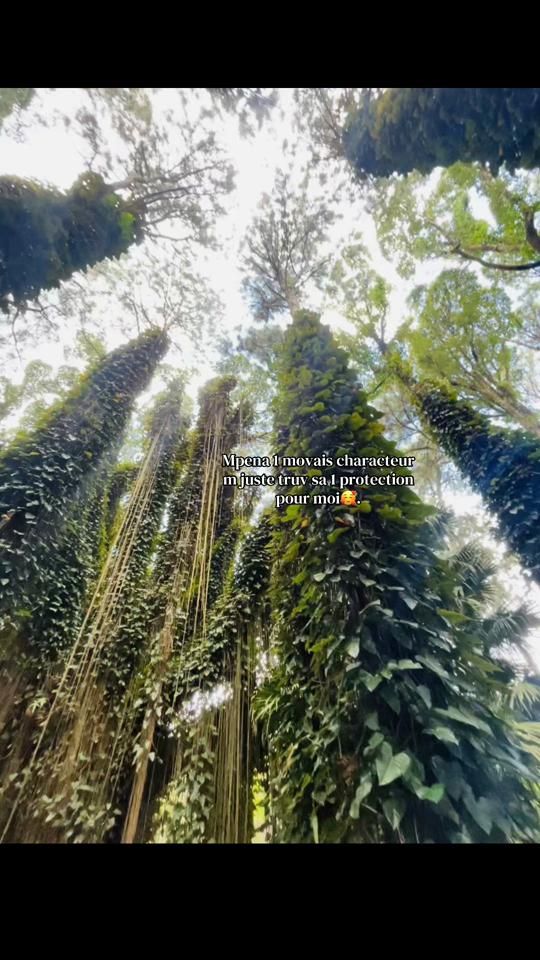 TikTok video thumbnail by saadz._.quote.h