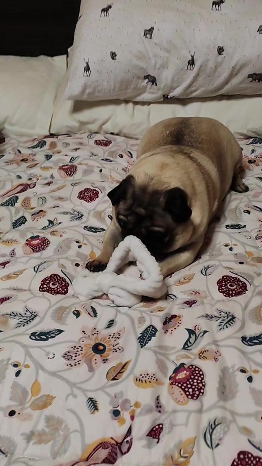TikTok video thumbnail by princessitha20