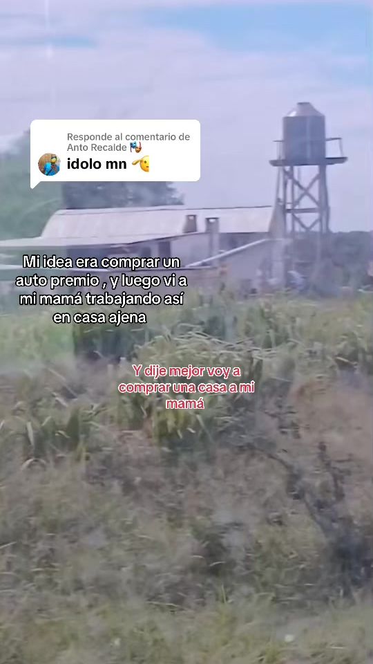 TikTok video thumbnail by luizvera19