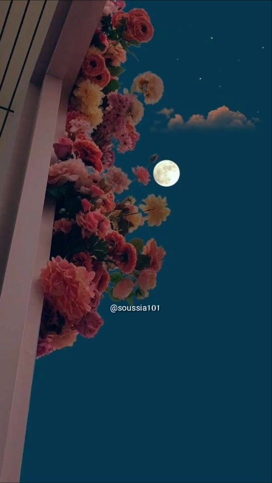 TikTok video thumbnail by soussia101