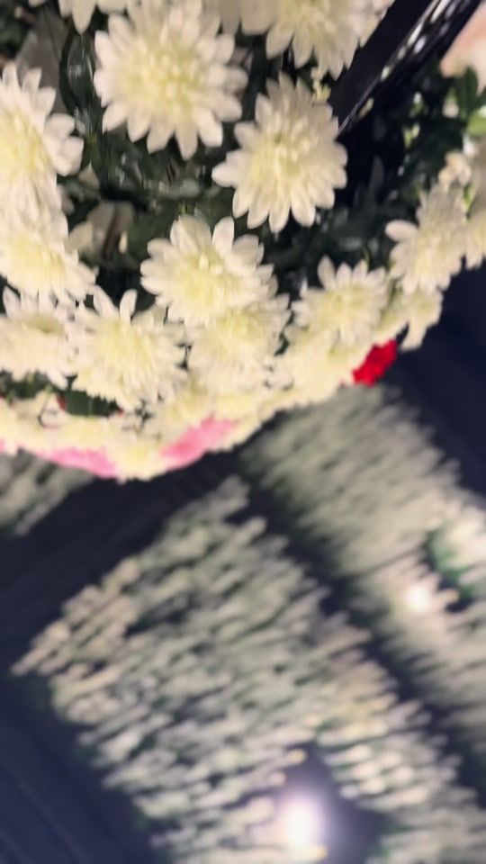 TikTok video thumbnail by aqibansari122