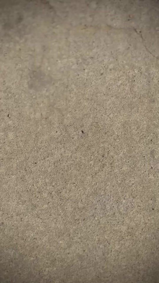 TikTok video thumbnail by ayoub_idoudi77