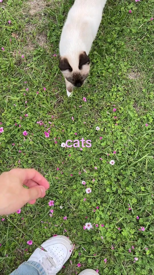 TikTok video thumbnail by lukkkii101