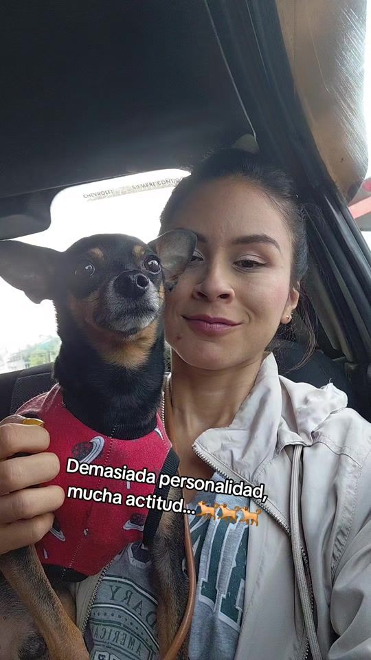 TikTok video thumbnail by marcemvz23
