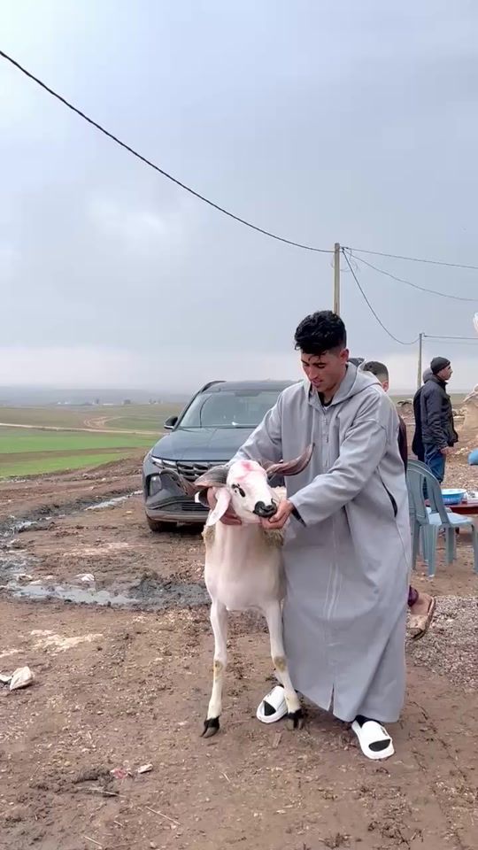 TikTok video thumbnail by rachidjanan2