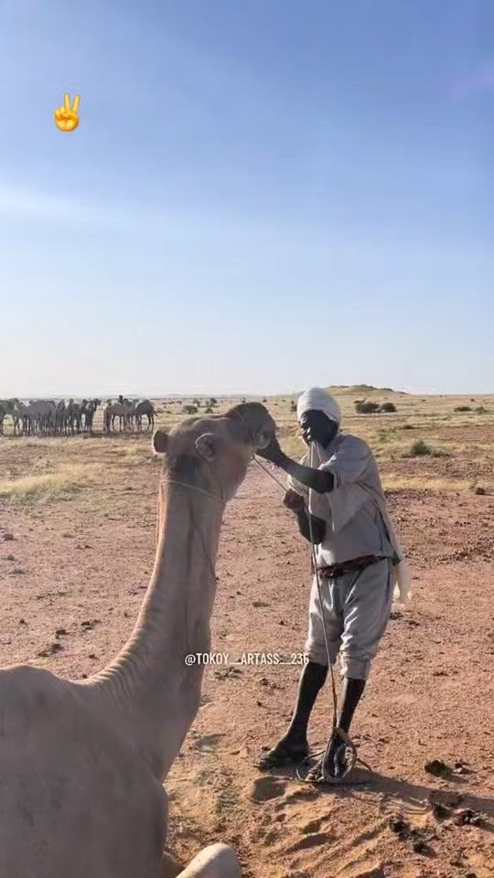 TikTok video thumbnail by innaerdibi297