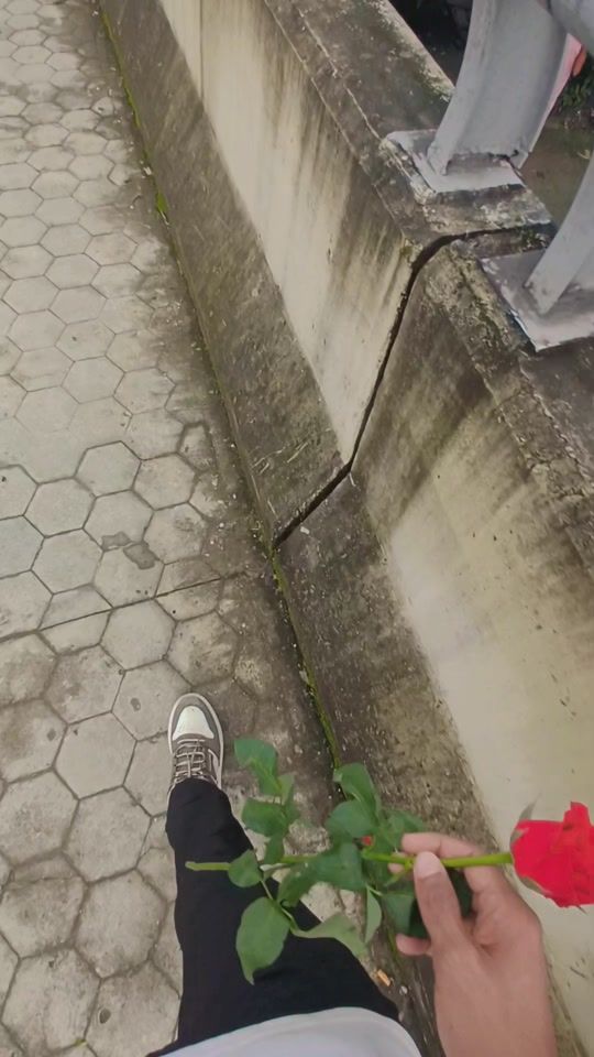 TikTok video thumbnail by winewinechit30