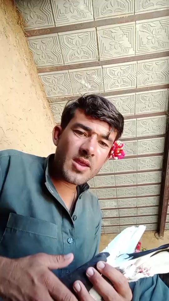 TikTok video thumbnail by lalmohammad2346