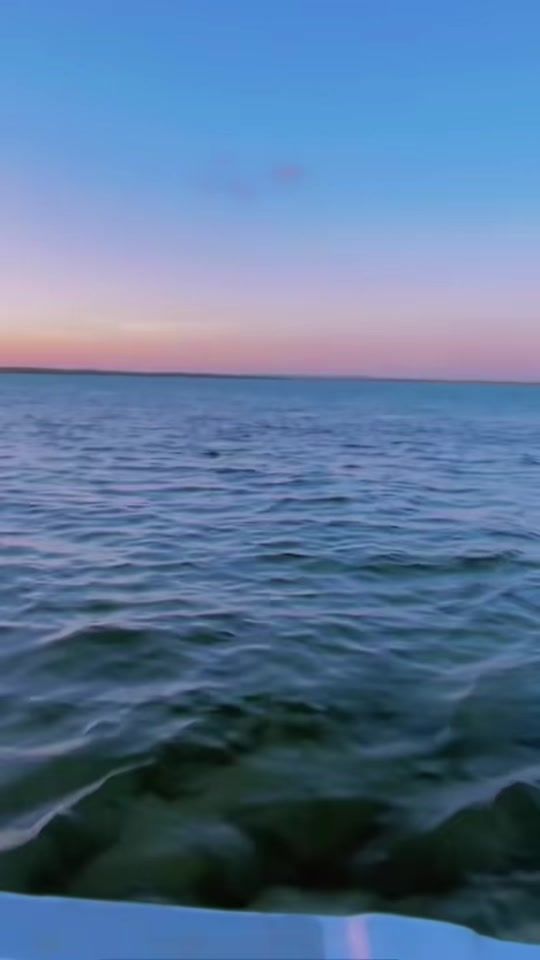 TikTok video thumbnail by puritybianca0