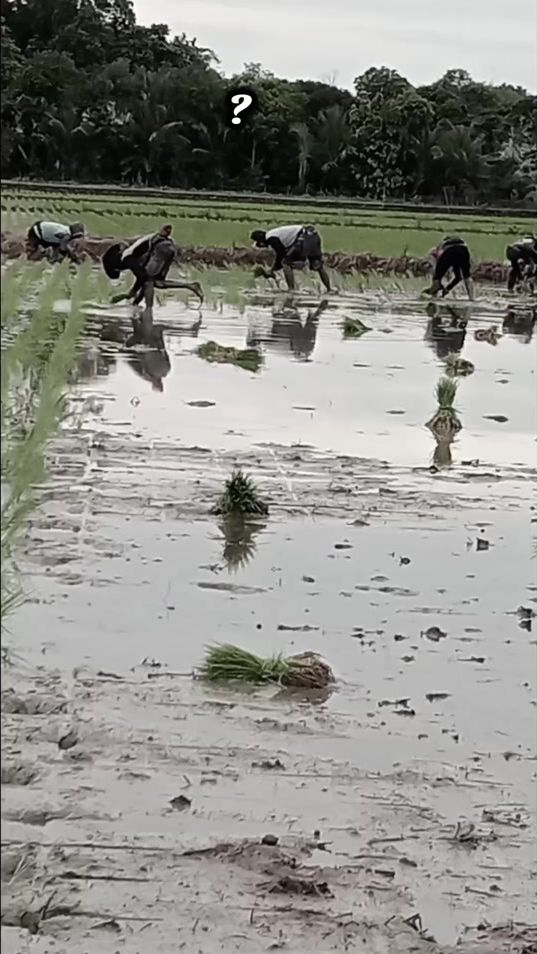 TikTok video thumbnail by rahmatar22
