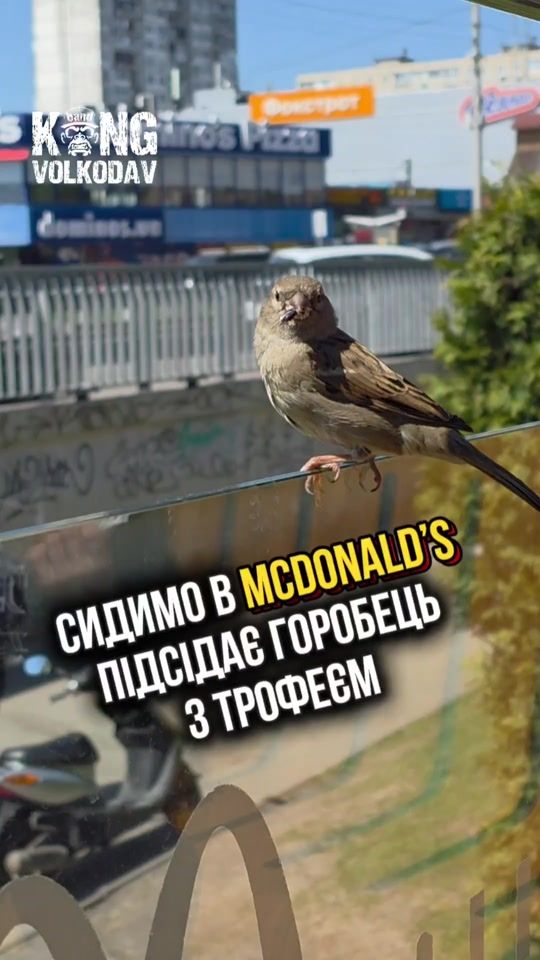 TikTok video thumbnail by alexander.volkodav