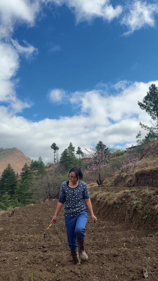 TikTok video thumbnail by dawa_gawa