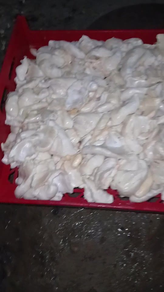TikTok video thumbnail by telagreen
