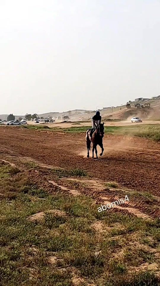 TikTok video thumbnail by abomis4