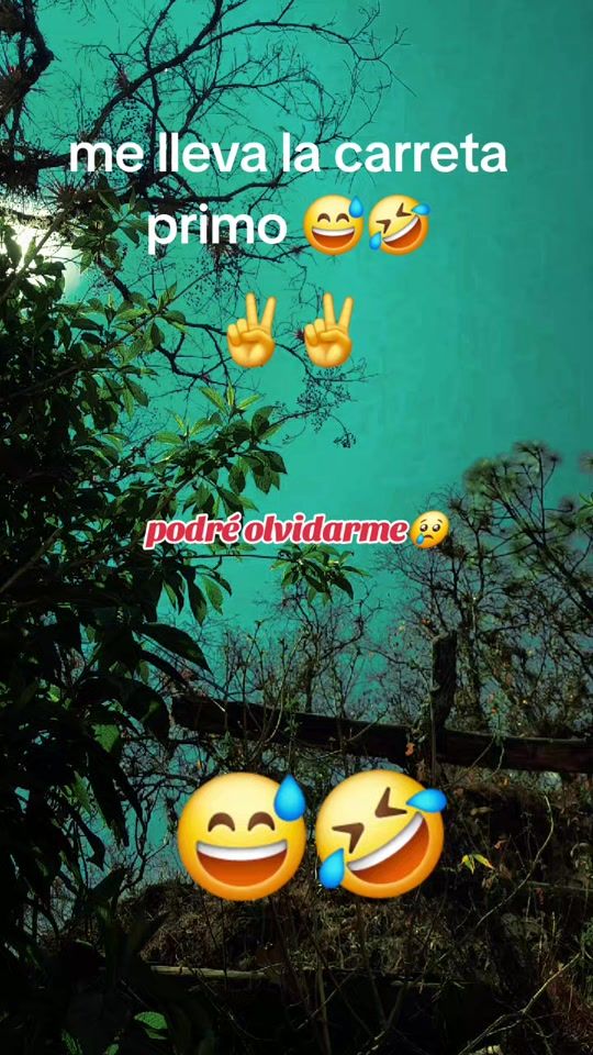TikTok video thumbnail by pedro.elias.baten.2025