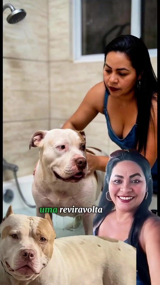 TikTok video thumbnail by alertadanoticia