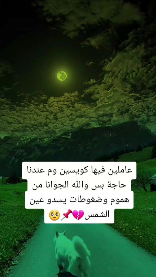 TikTok video thumbnail by uhgft2500