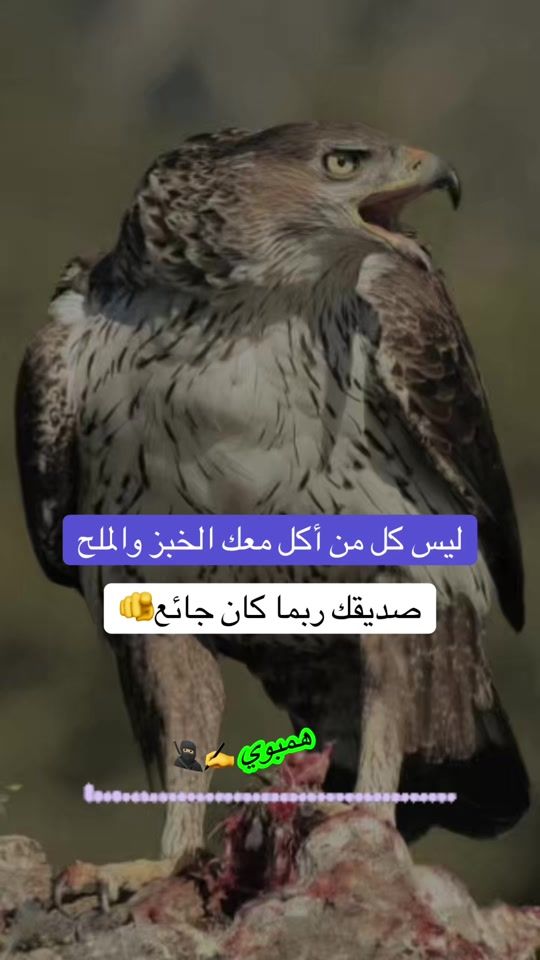TikTok video thumbnail by httpsvt.tiktok.comzsmva8