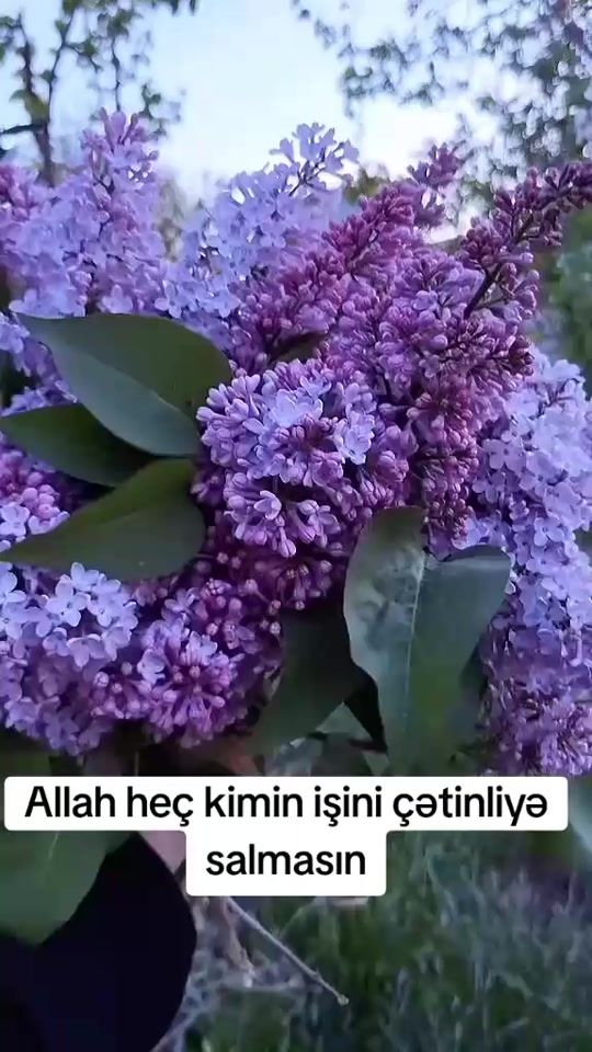 TikTok video thumbnail by altay3825
