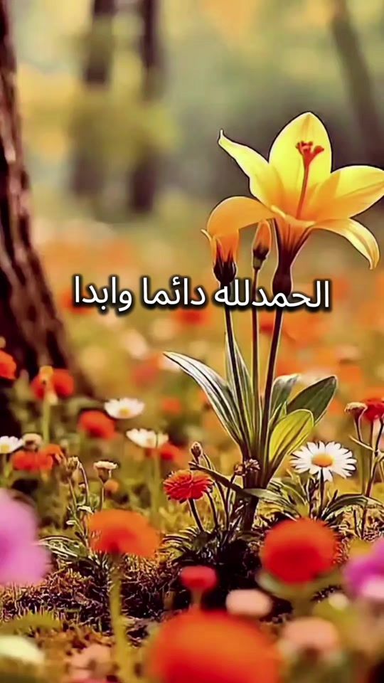 TikTok video thumbnail by quraan_duaaa