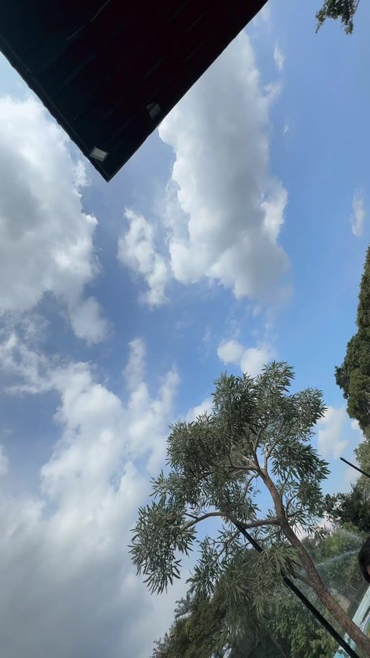 TikTok video thumbnail by bilsky16