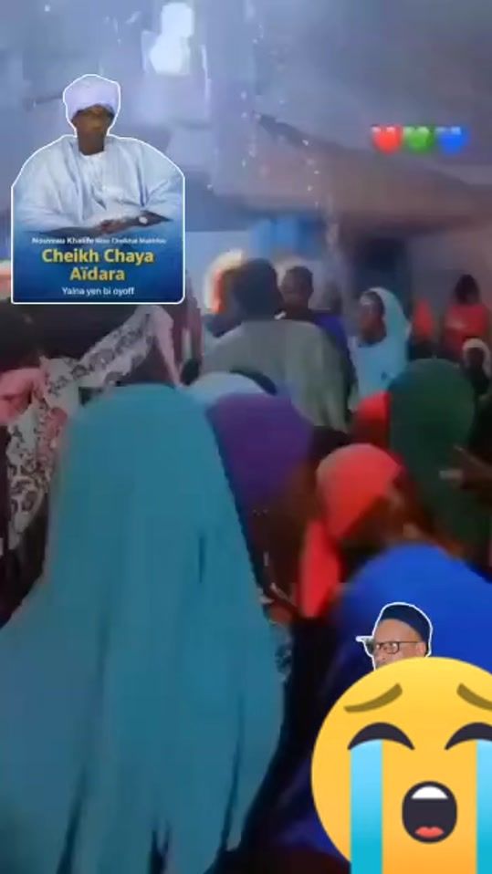 TikTok video thumbnail by asssadibistedieng