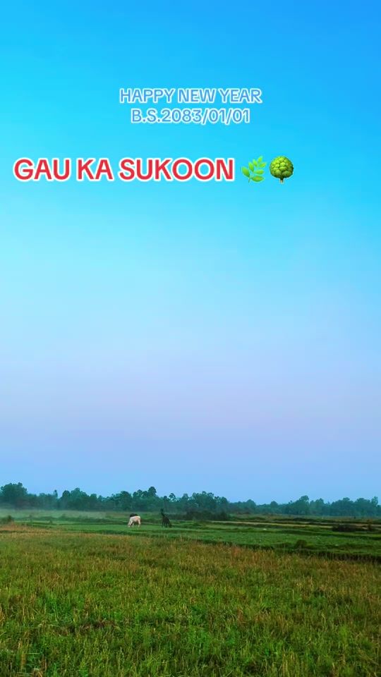 TikTok video thumbnail by mithlesh_yadav_154