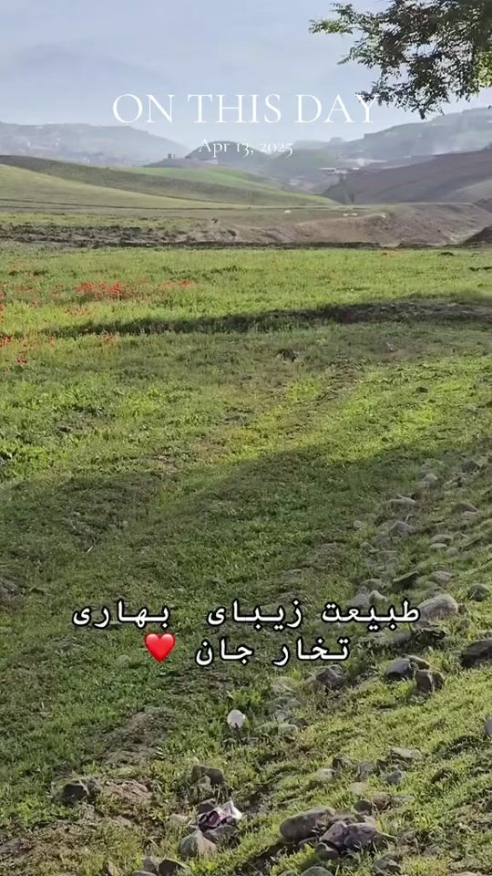 TikTok video thumbnail by elenaameeri