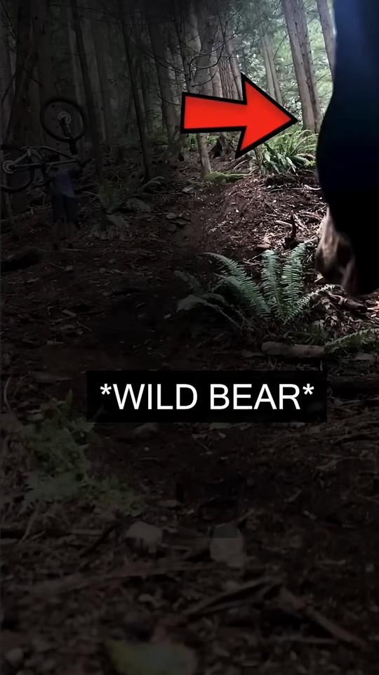 TikTok video thumbnail by uncle_dijon