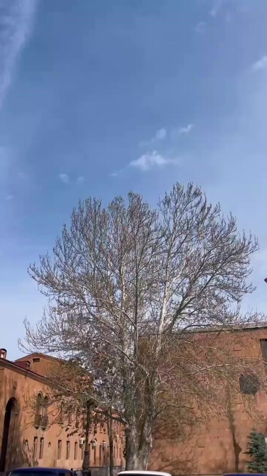 TikTok video thumbnail by 07uu013