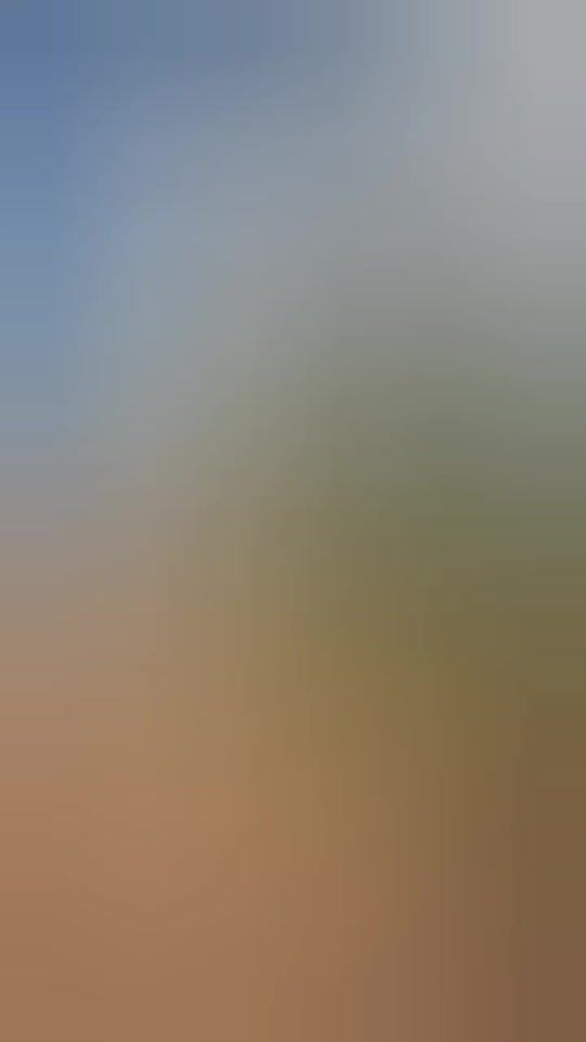 TikTok video thumbnail by zimmusicupdates