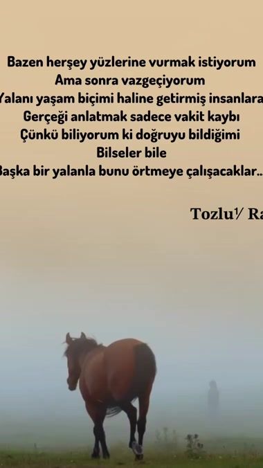 TikTok video thumbnail by tozlu1cumle