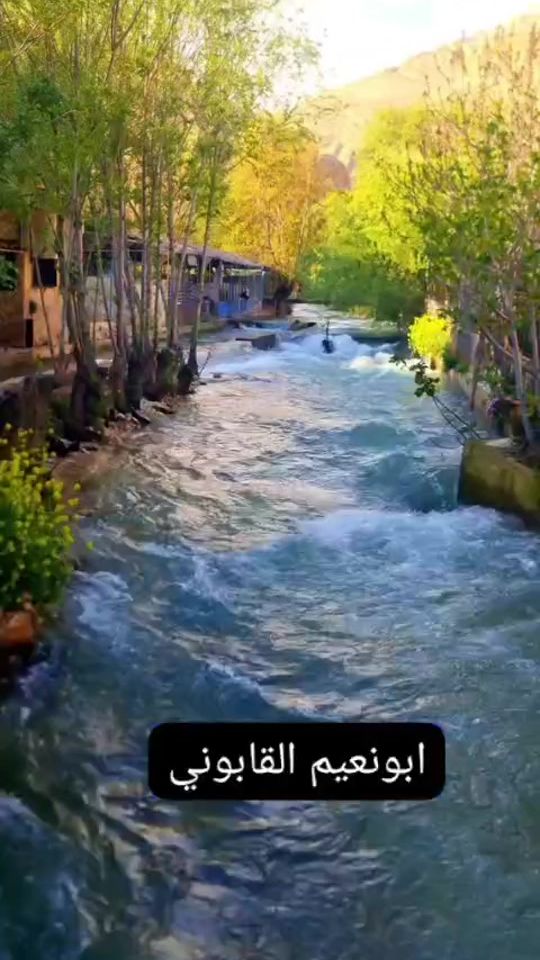 TikTok video thumbnail by abo.naeem.alkaboni3