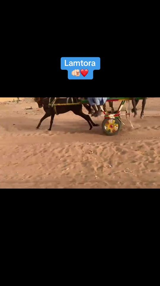 TikTok video thumbnail by fils_de_b52_