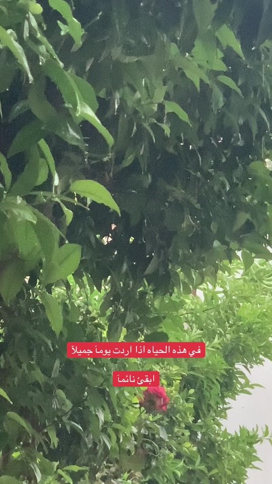 TikTok video thumbnail by aa2kr
