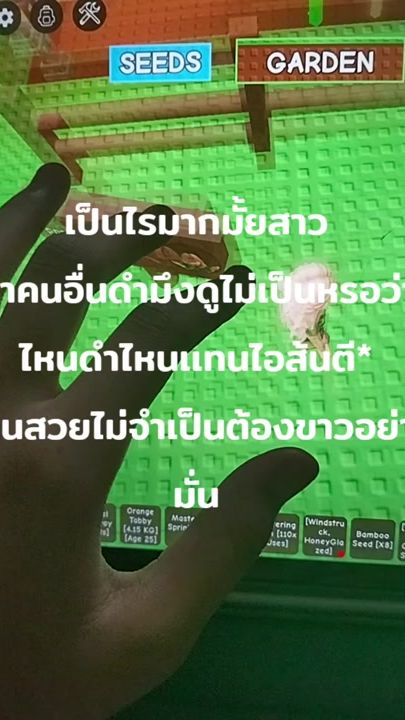 TikTok video thumbnail by patsorn.com
