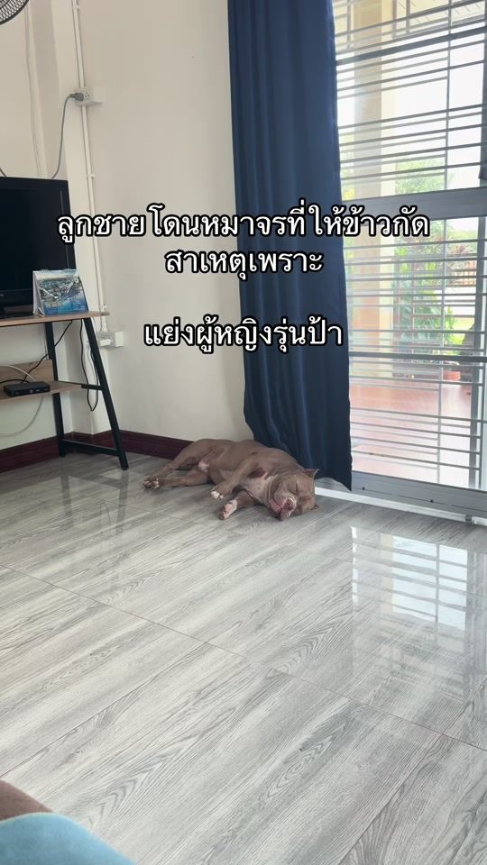TikTok video thumbnail by gap_jira