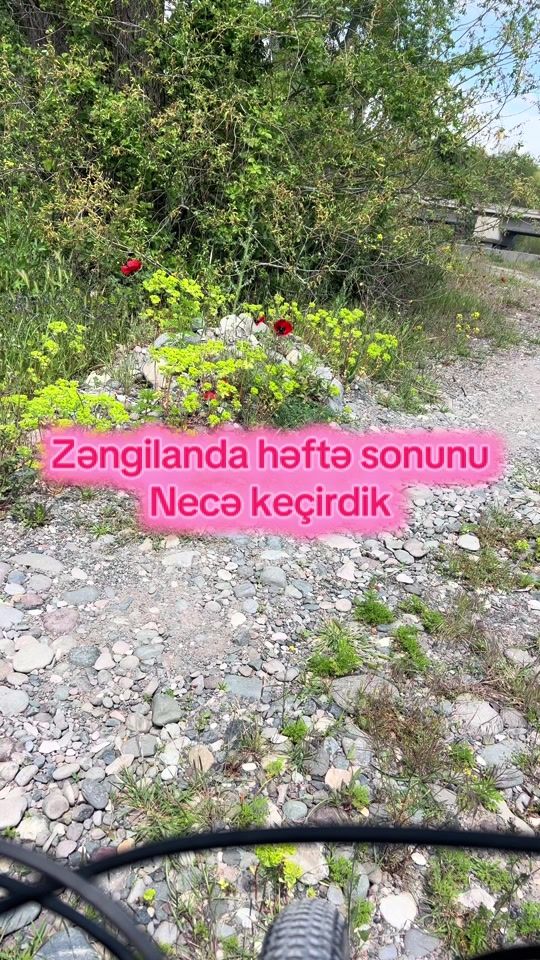 TikTok video thumbnail by cicekgerayli