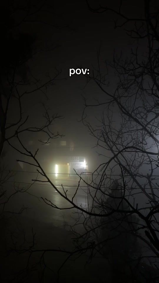 TikTok video thumbnail by niveenkhalil_