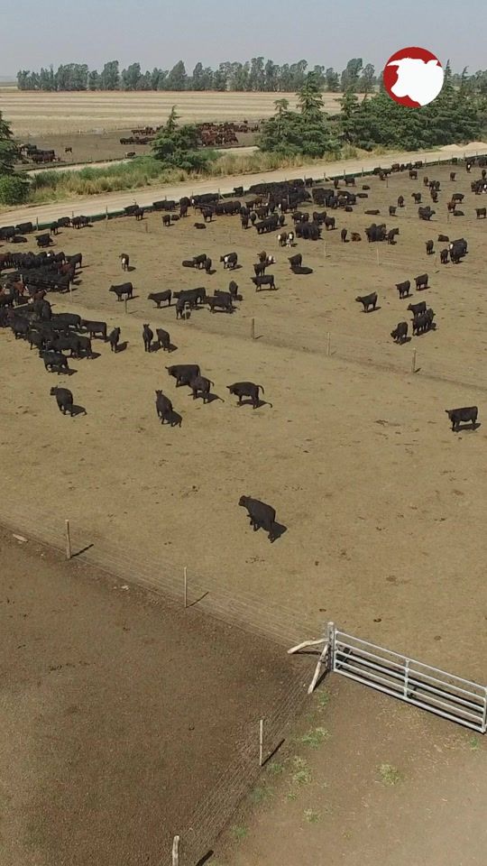 TikTok video thumbnail by farmquip