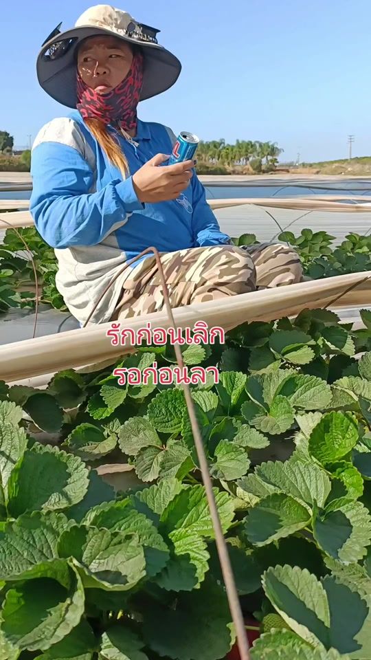 TikTok video thumbnail by tak19916