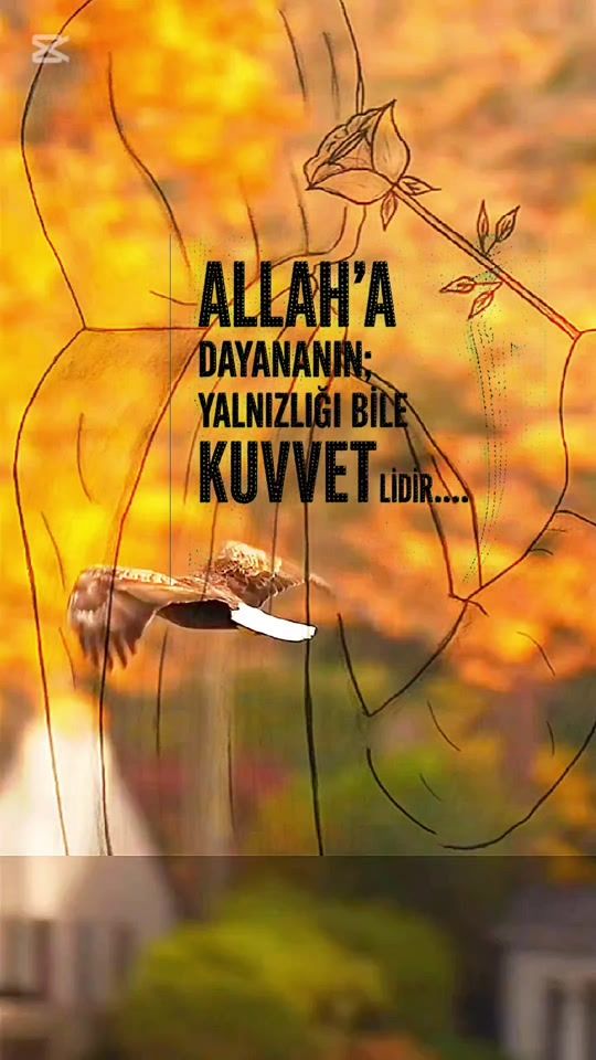 TikTok video thumbnail by asya_asya.3405