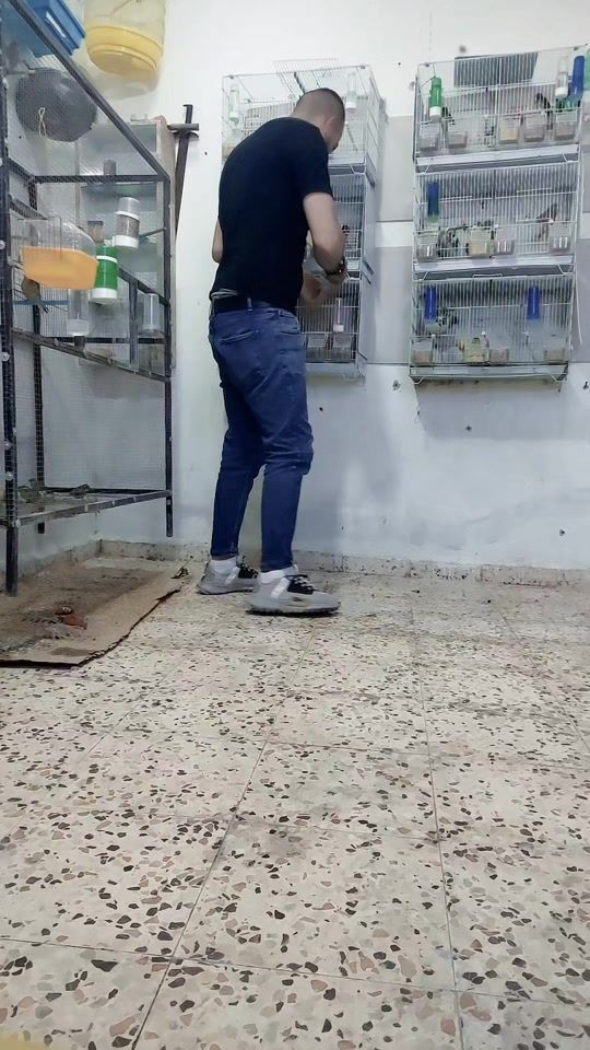 TikTok video thumbnail by rambo.rambo