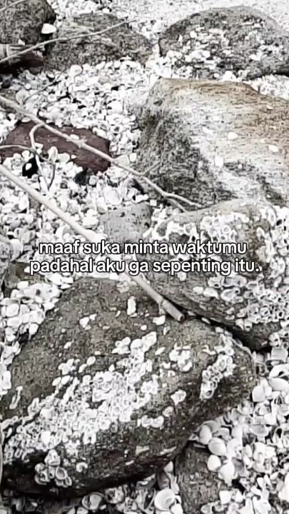 TikTok video thumbnail by hssx232