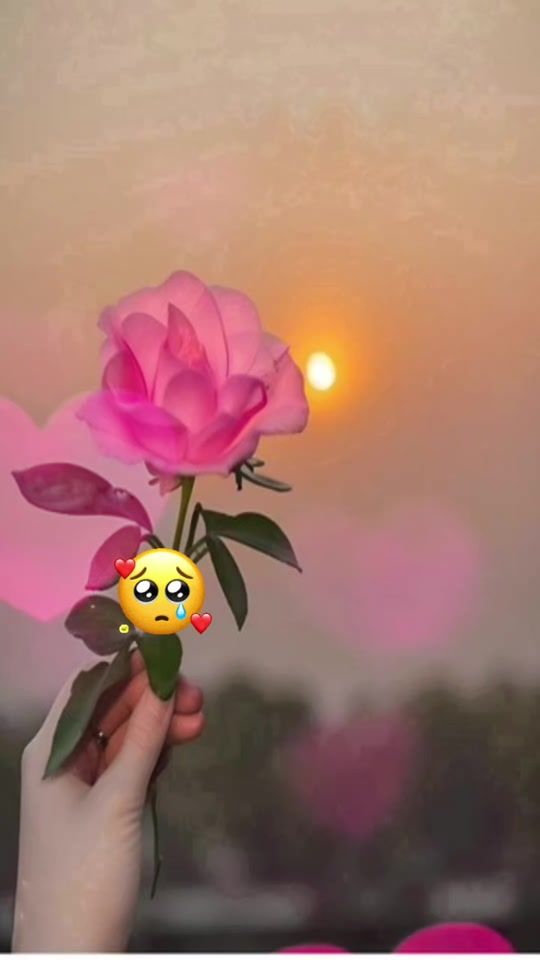 TikTok video thumbnail by elisagonzalez091